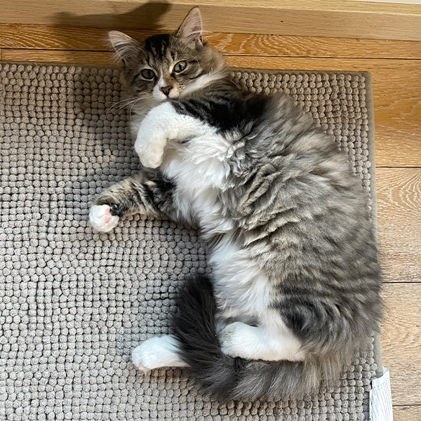 Milo